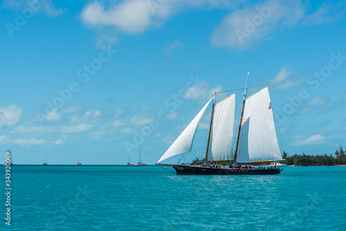 Boat sailing in a sunny blue day