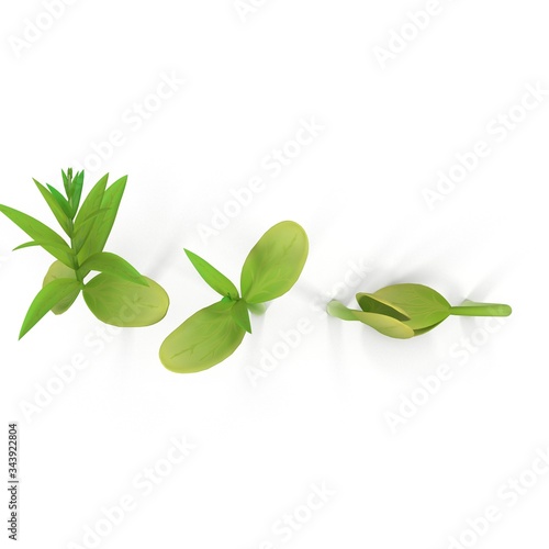 Photorealistic highly detailed 3D visualization of the sprout at different stages of growth. 3D render.