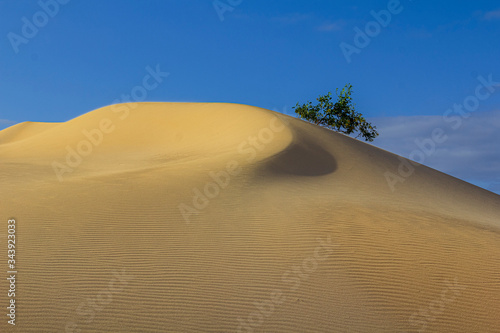 Duna en mi isla al atardecer