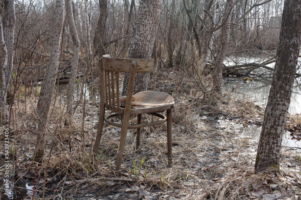 an old broken chair in the woods on the lake thrown away unnecessary