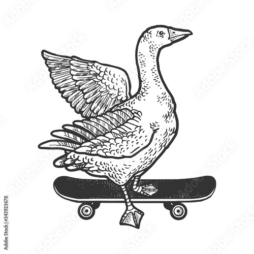 goose rides on a skateboard sketch engraving vector illustration. T-shirt apparel print design. Scratch board imitation. Black and white hand drawn image.