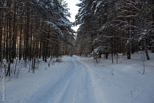 Very beautiful winter forest with the sun and the road