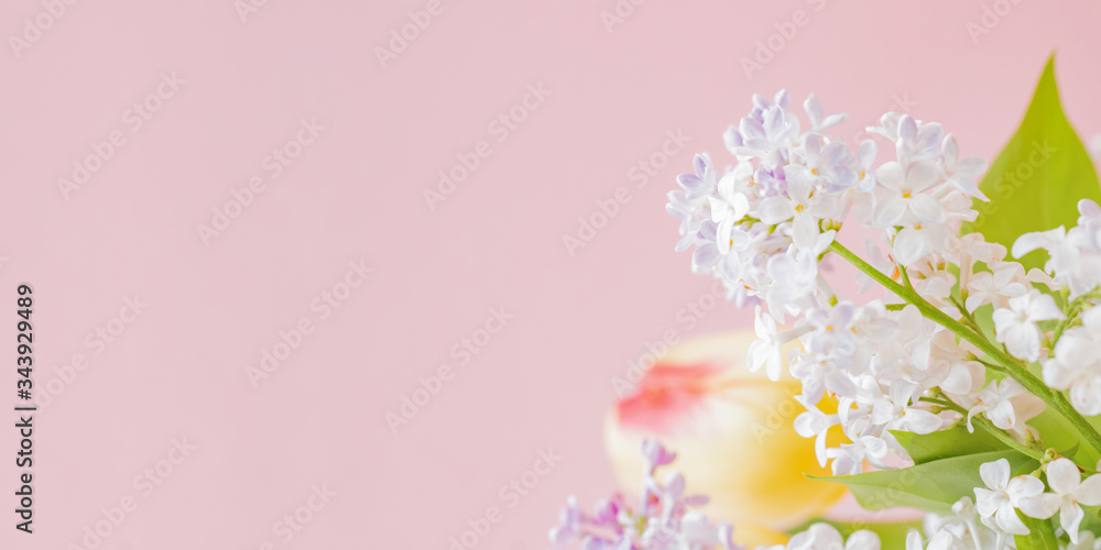 Yellow tulips and branches of lilac in a vase on a pink background