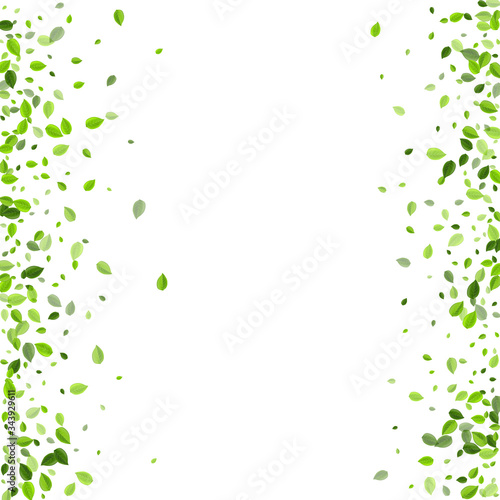 Mint Foliage Nature Vector Backdrop. Blur Greens 