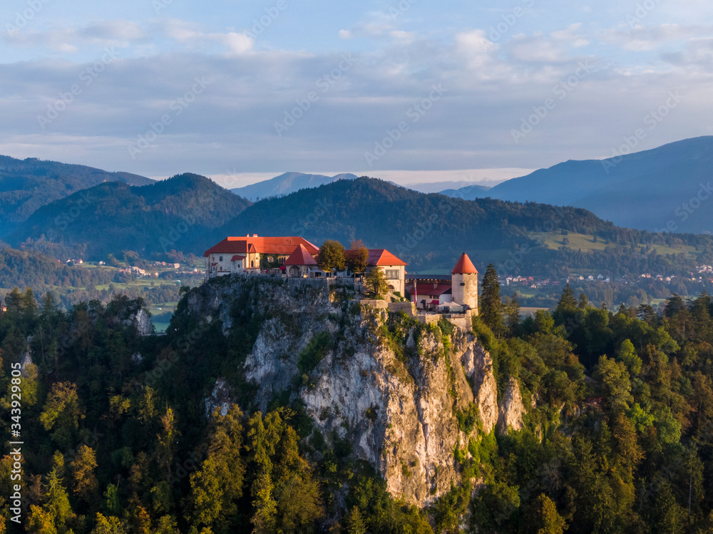 Aerial view of the Bled castle