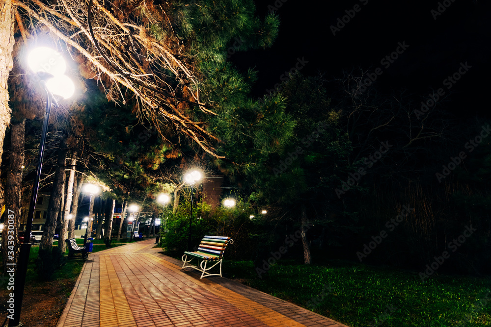 High city lanterns illuminate the white pine park with paths and colored benches in bright white light.