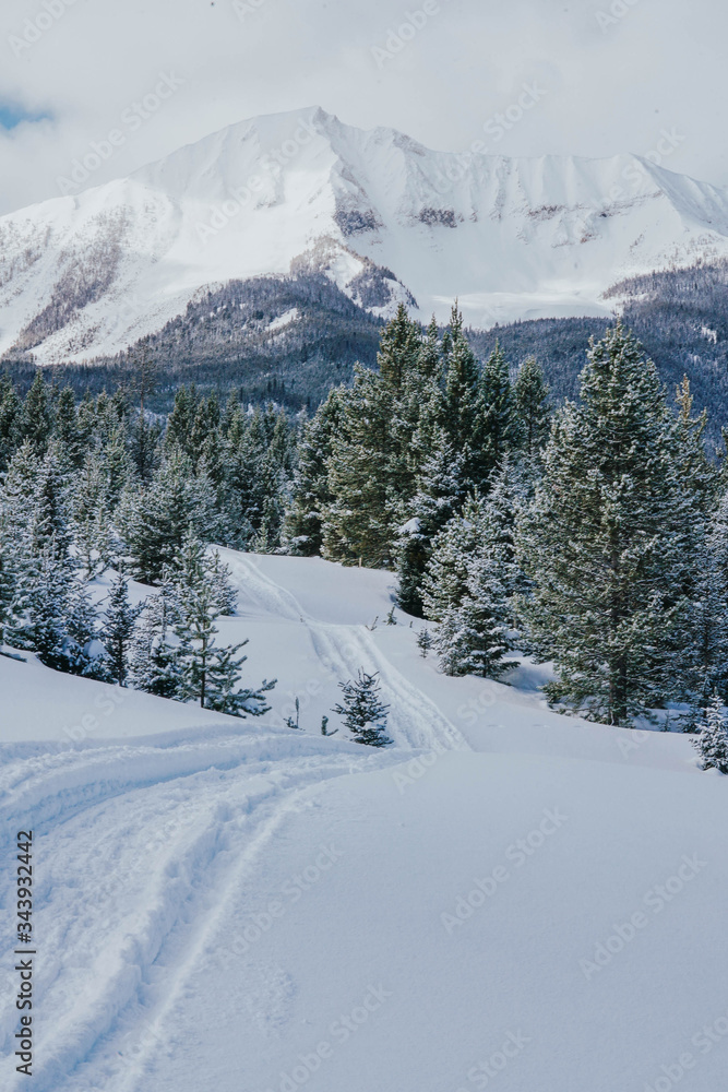 Fototapeta premium winter mountain landscape