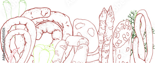 vector illustration different varieties of sausages.sticks out of the package.