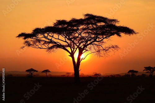 Sonnenuntergang im Serengeti Nationalpark in Tanzania © Daniela