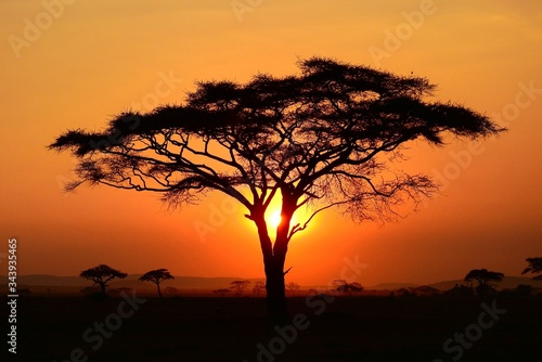 Sonnenuntergang im Serengeti Nationalpark in Tanzania