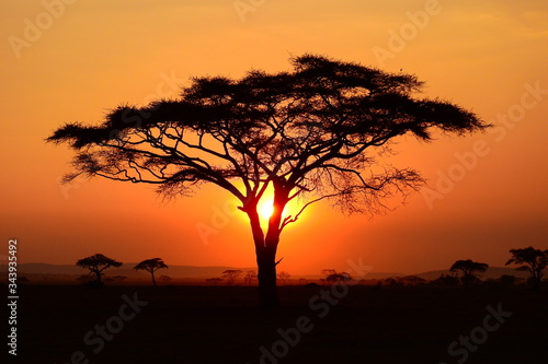 wunderschöner Sonnenuntergan im Serengeti Nationalpark in Tanzania