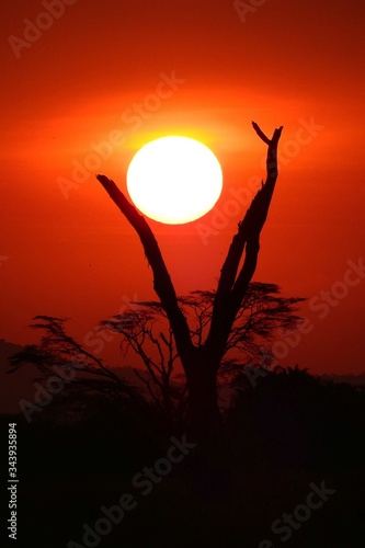 wunderschöner Sonnenuntergan im Serengeti Nationalpark in Tanzania
