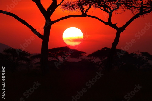 Sonnenuntergang im Serengeti Nationalpark in Tanzania