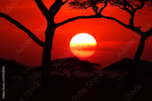 wunderschöner Sonnenuntergan im Serengeti Nationalpark in Tanzania
