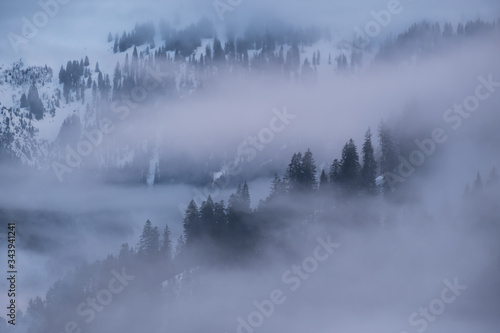 Nebel Berge