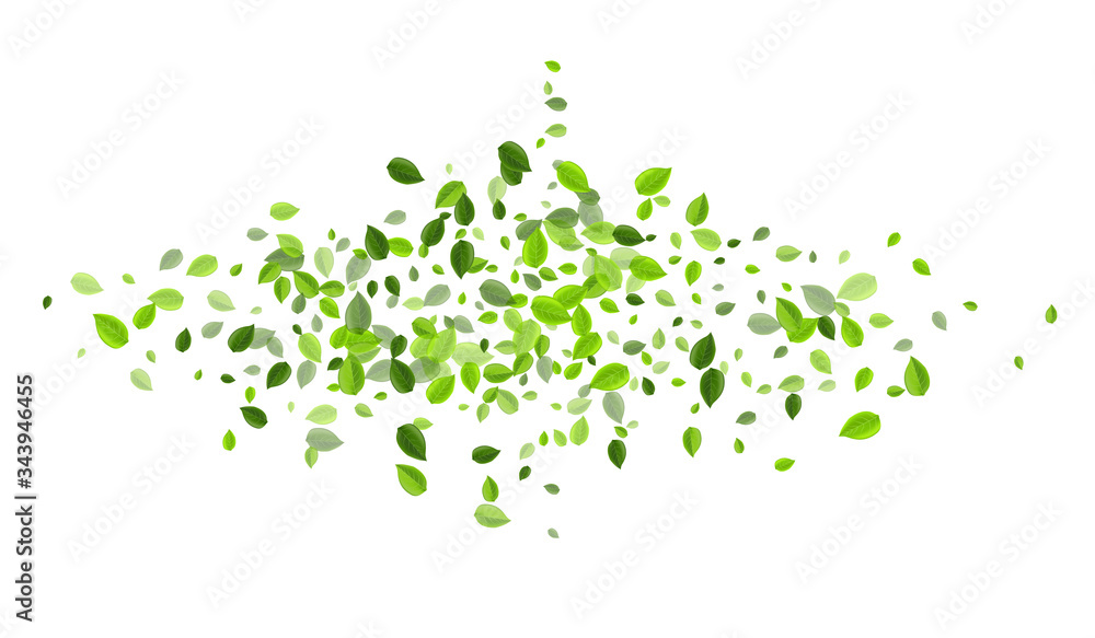 Swamp Foliage Tree Vector Illustration. Spring Swamp Foliage Tree Vector Illustration. Spring
