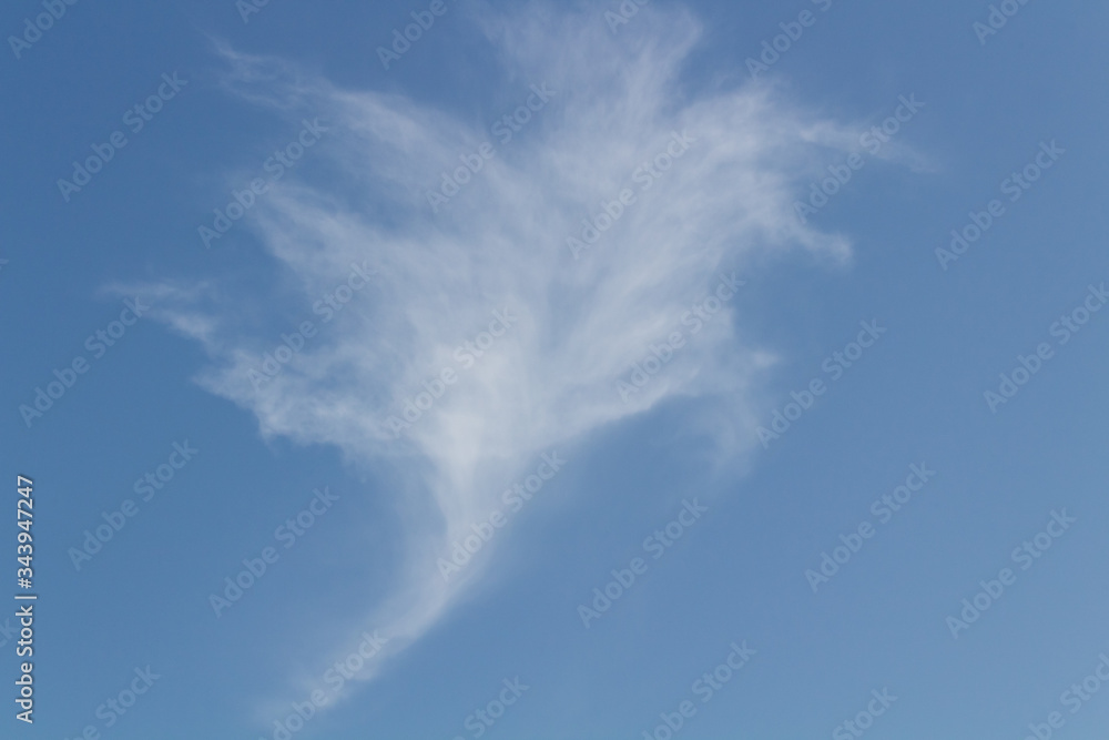 Beautiful flower shaped cloud in the blue sky in nature concept. Beautiful flower shaped cloud in the blue sky in nature concept.