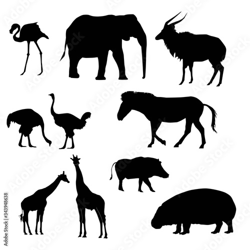 set of slhouettes of african animals (ostrich, giraffe, elephant, zebra, warthog, nyala, flamingo, pigmy hippo) vector isolated on white background photo