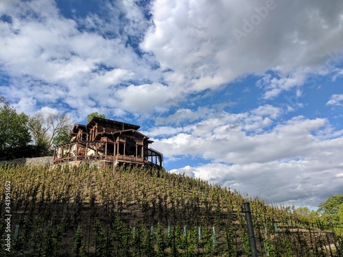 vineyard in prague
