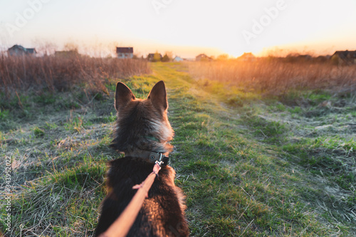 walking the dog on leash