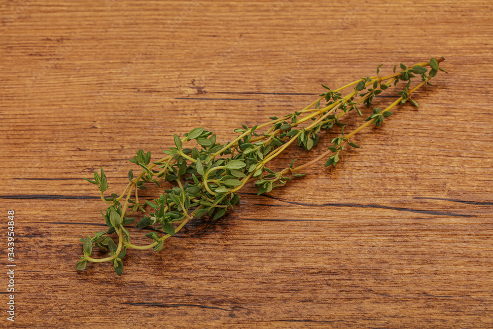 Aroma Fresh green thyme branch