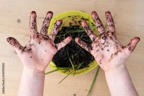 Muddy Hands with Mud Pie
