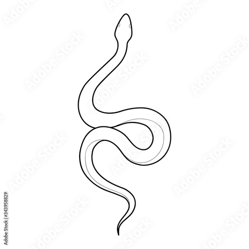 Hand drawing outline snake. Tattoo snake for Henna drawing and tattoo template. Vector illustration