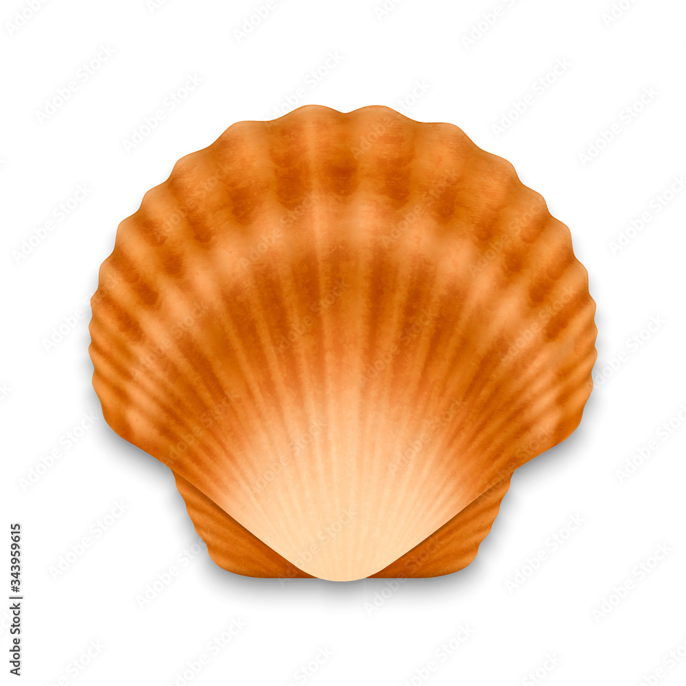 Vector 3d Realistic Brown Closed Scallop Pearl Seashell Icon Closeup Isolated on White Background. Design Template. Top View Vector 3d Realistic Brown Closed Scallop Pearl Seashell Icon Closeup Isolated on White Background. Design Template. Top View