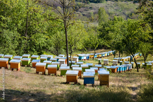 Field full of colorful wooden beehives.
Apiculture or Beekeeping industry.