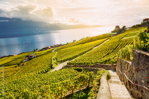 Obraz na płótnie Lavaux, Switzerland: Lake Geneva and the Swiss Alps landscape seen from Lavaux vineyard hiking trail in Canton Vaud w salonie