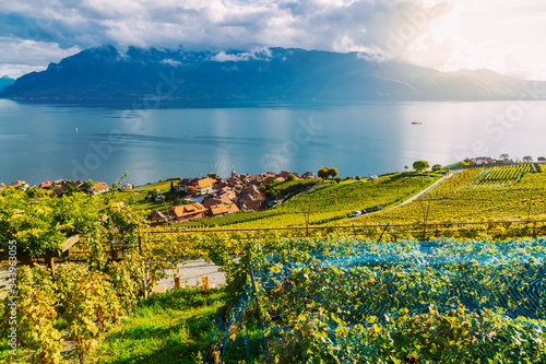 Lavaux, Switzerland: Little town, Lake Geneva and the Swiss Alps landscape seen from Lavaux vineyard tarraces in Canton of Vaud