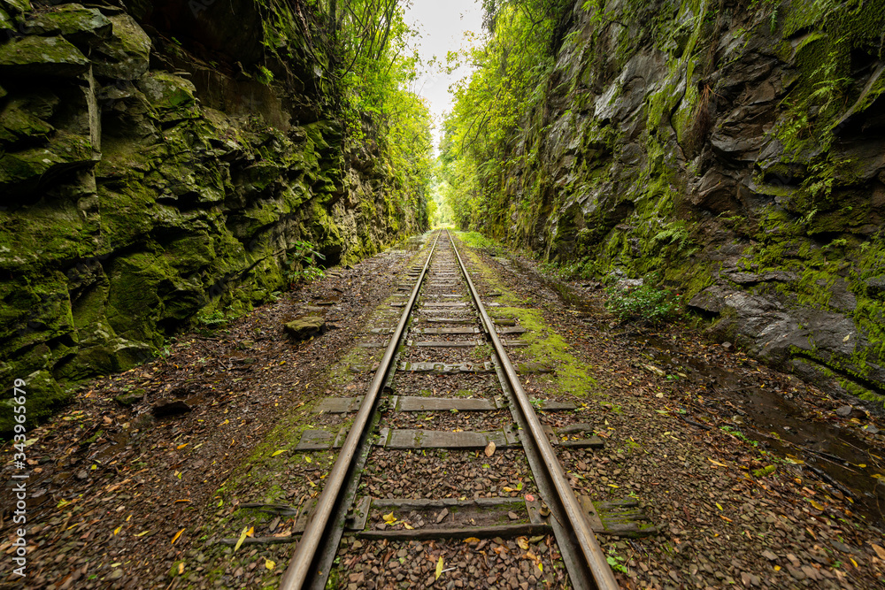 Railway crossing forest in Bento Gonçalves, Rio Grande do Sul, Brazil on November 19, 2017. City known as the Brazilian capital of wine Railway crossing forest in Bento Gonçalves, Rio Grande do Sul, Brazil on November 19, 2017. City known as the Brazilian capital of wine
