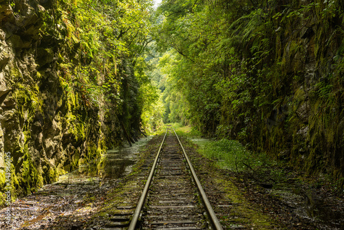 Railway crossing forest in Bento Gonçalves, Rio Grande do Sul, Brazil on November 19, 2017. City known as the Brazilian capital of wine