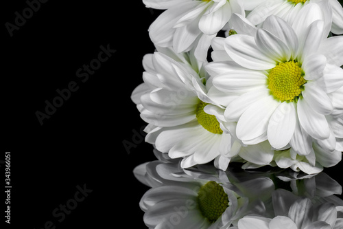 bouquet of chrysanthemums on a black background