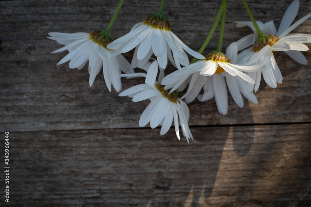 Obraz premium Chamomile flowers on wooden table background with copy space