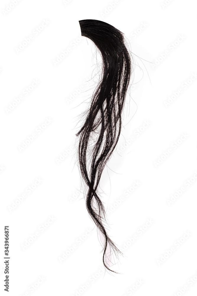 Lock of hair cut out hires stock photography and images  Alamy