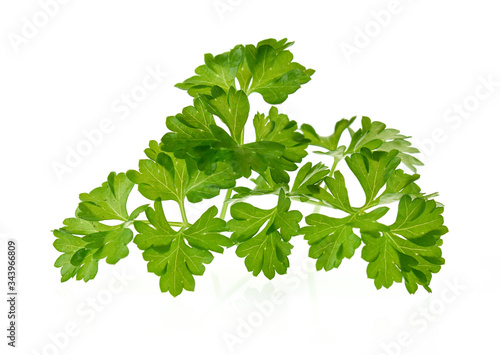Twig of fresh parsley isolated on white background