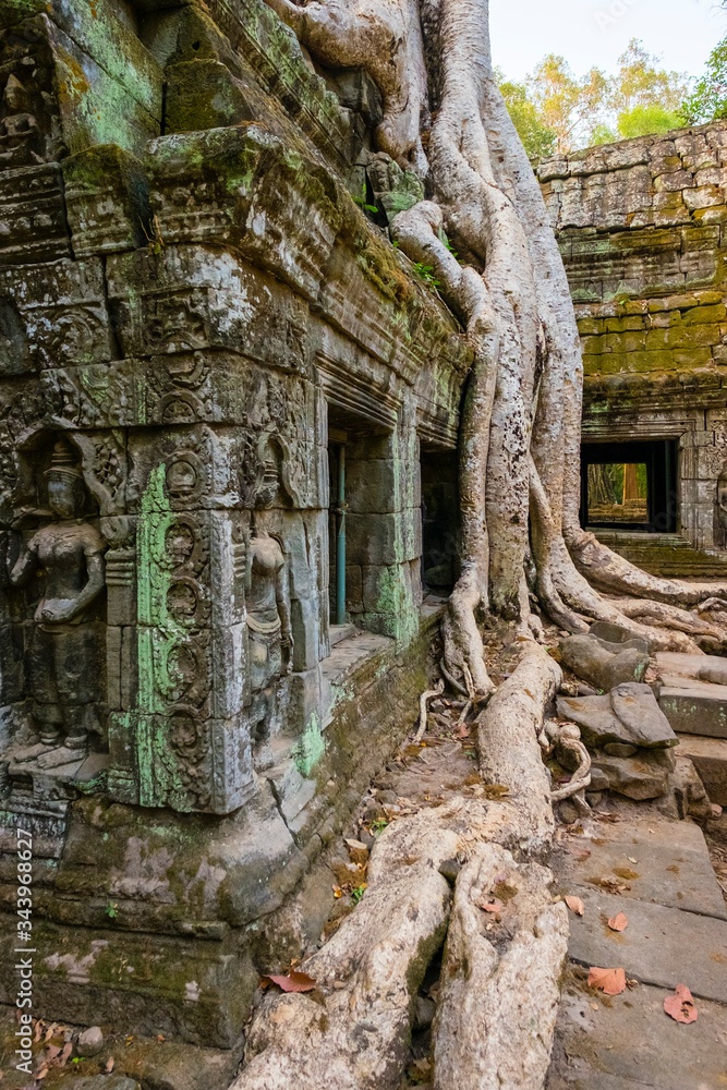 Ta Prohm temple (Rajavihara), Siem Reap, Cambodia Ta Prohm temple (Rajavihara), Siem Reap, Cambodia