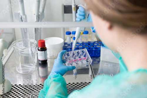 Researchers in the medical laboratory process the samples for vi photo