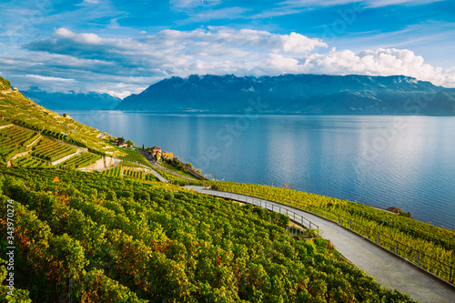 Lavaux, Switzerland: Lake Geneva and the Swiss Alps landscape seen from hiking trail among Lavaux vineyard tarraces in Canton of Vaud © Michal Ludwiczak