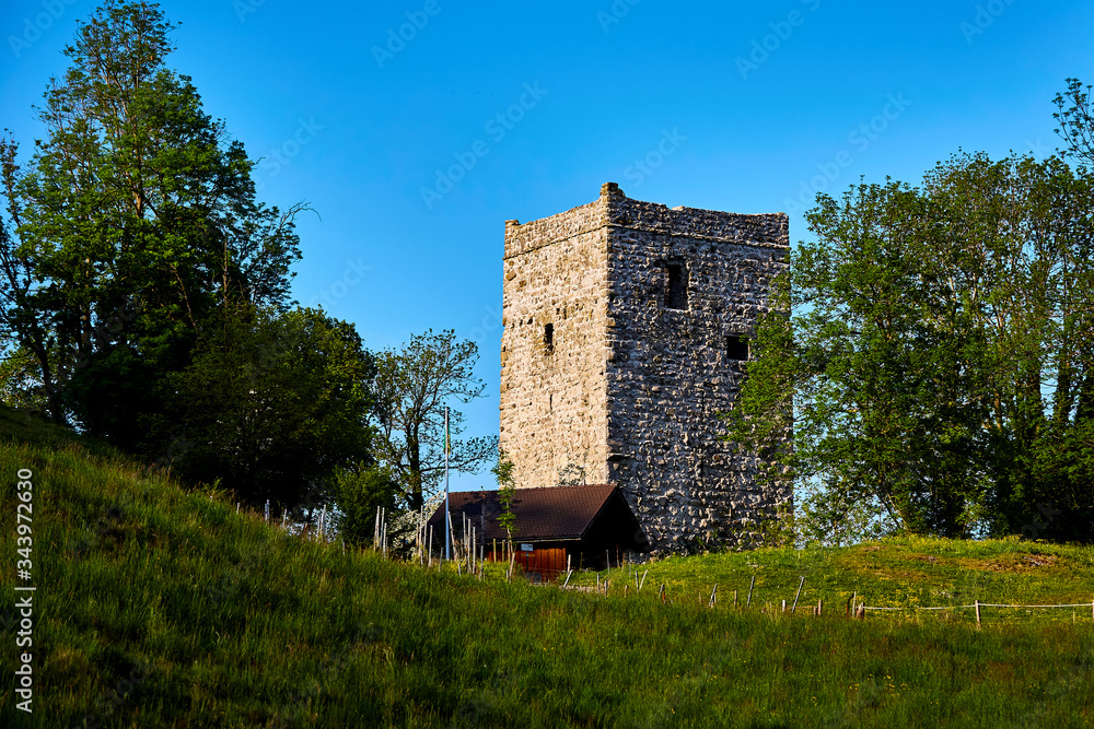 Alter Turm, Ruine einer Burg