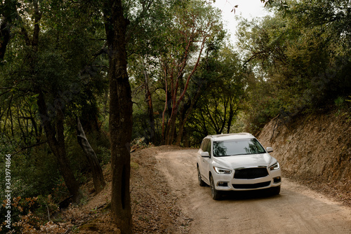 Car driving through forest in Big Sur photo