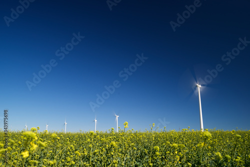 Windmills for renewable electric energy production in Spain.