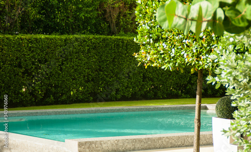 stylish Garden with swimming pool