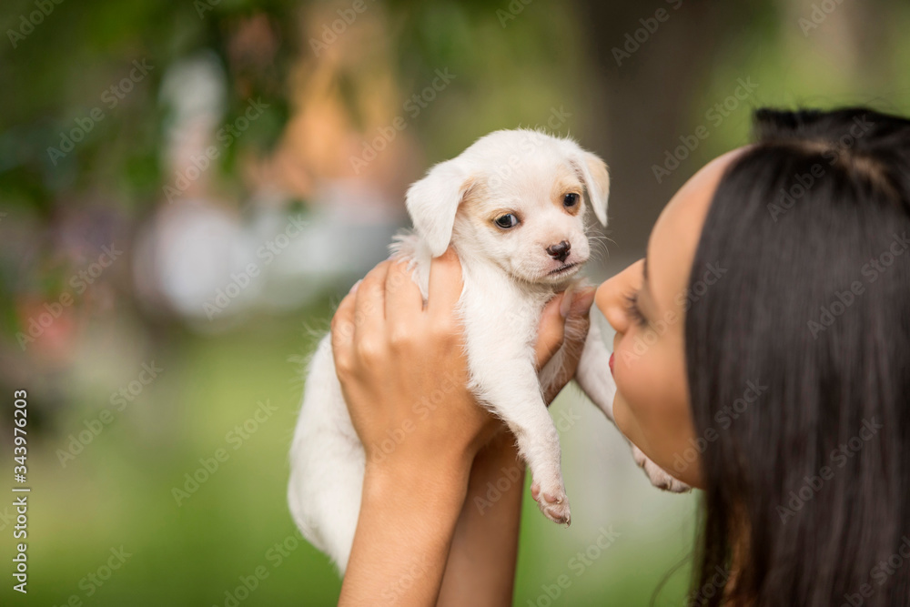 Woman with a small white puppy in her hands. Woman with a small white puppy in her hands.