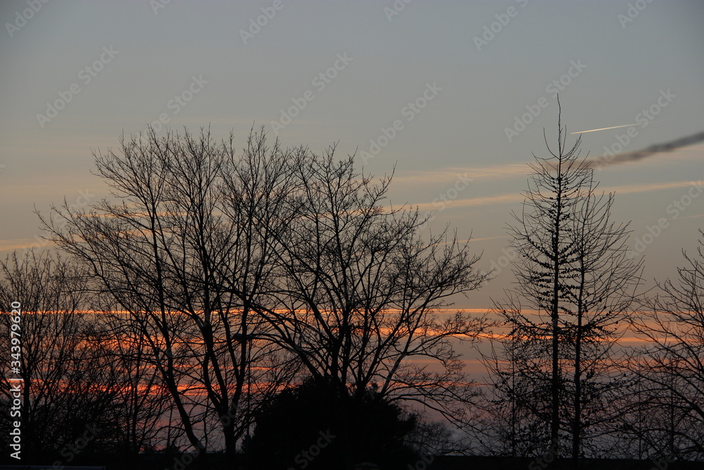 Obraz premium sunset and trees