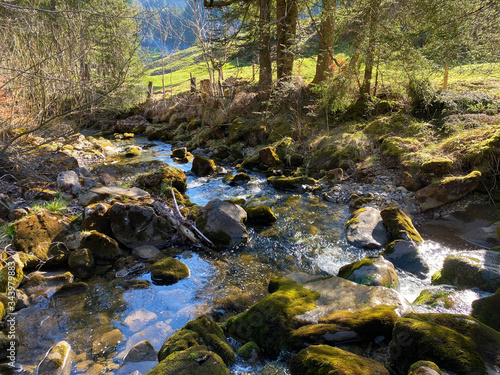 The alpine river Rümlig (Ruemlig or Rumlig) in the subalpine Eigental valley, Eigenthal - Canton of Lucerne, Switzerland (Kanton Luzern, Schweiz) photo