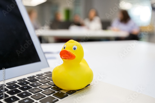 Rubber duck during computer classes