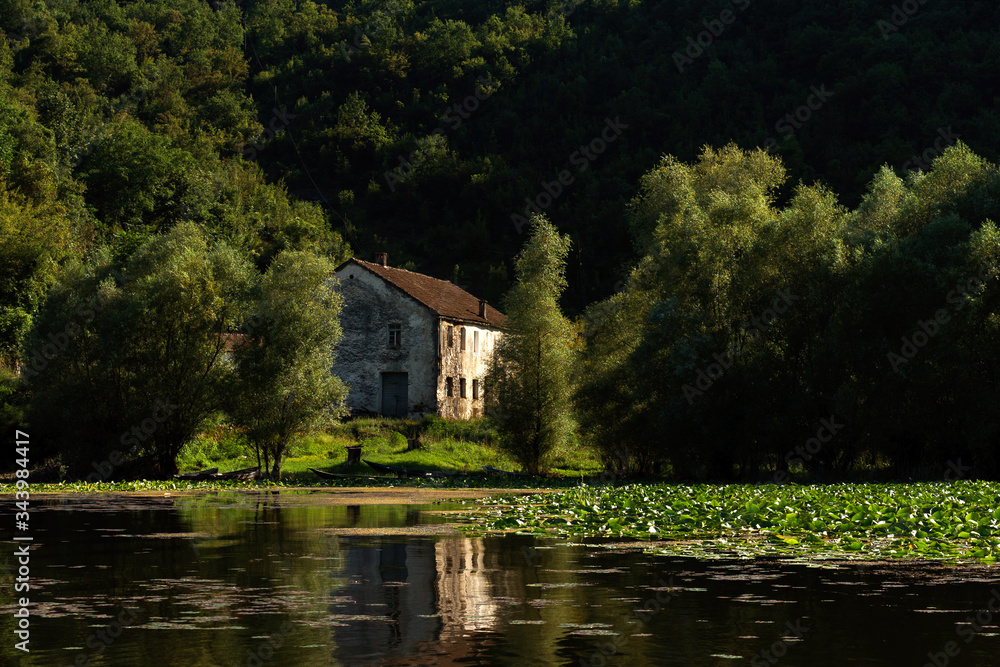 Fototapeta premium national park Montenegro lake with green leaves and old house