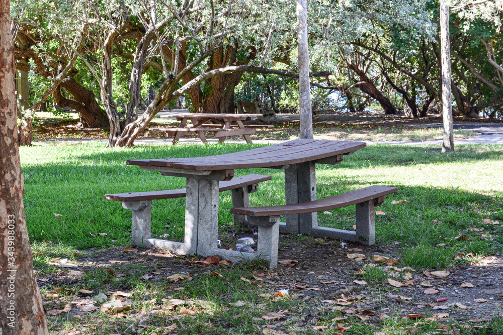 bench in the park